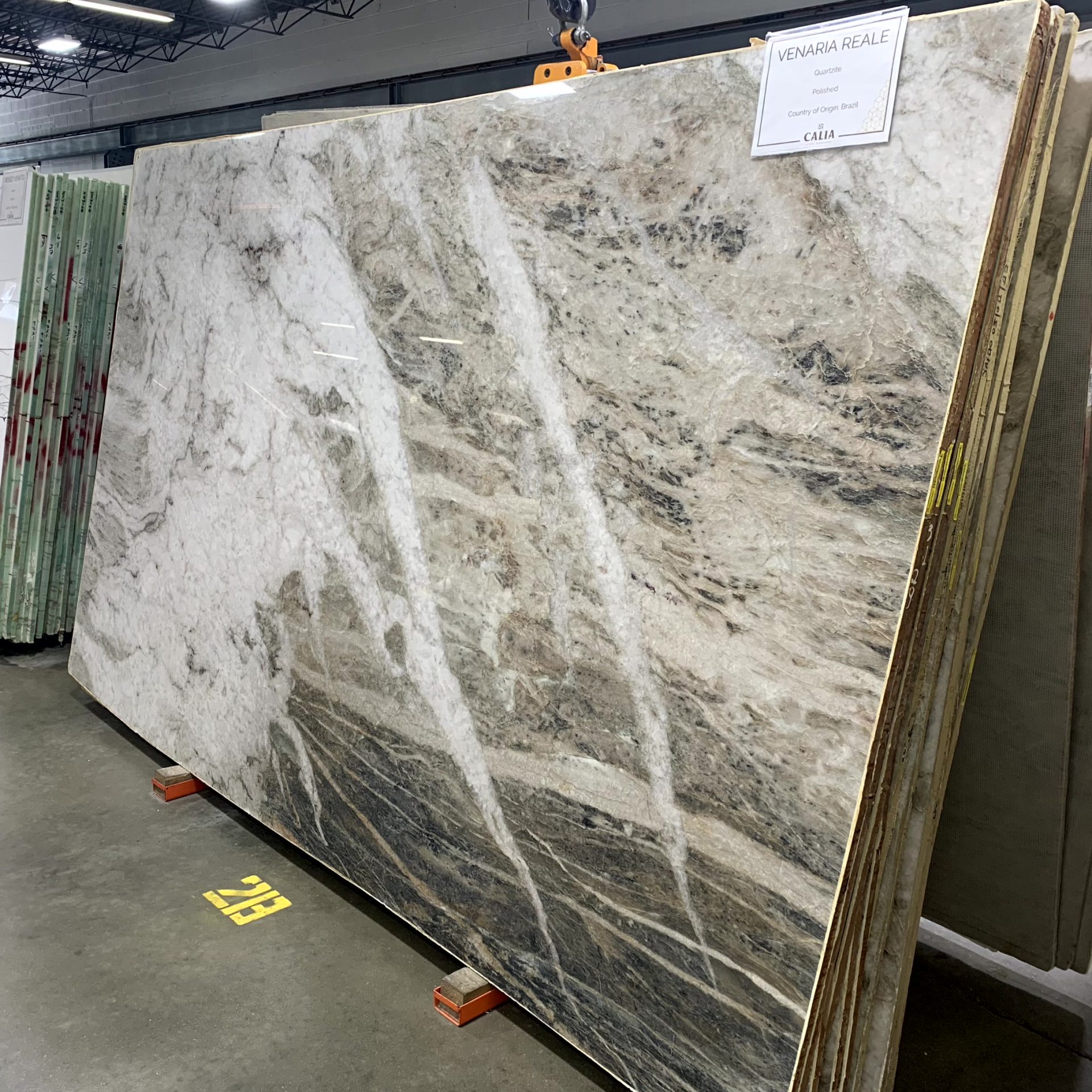 Venaria Reale Quartzite Slabs - Imperial Stone Group