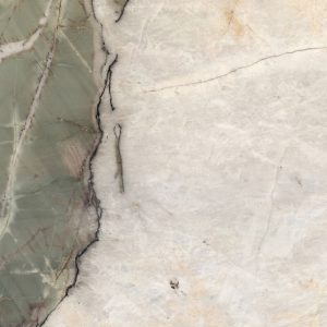 Botanic Wave – Polished 3CM – Lot 2489