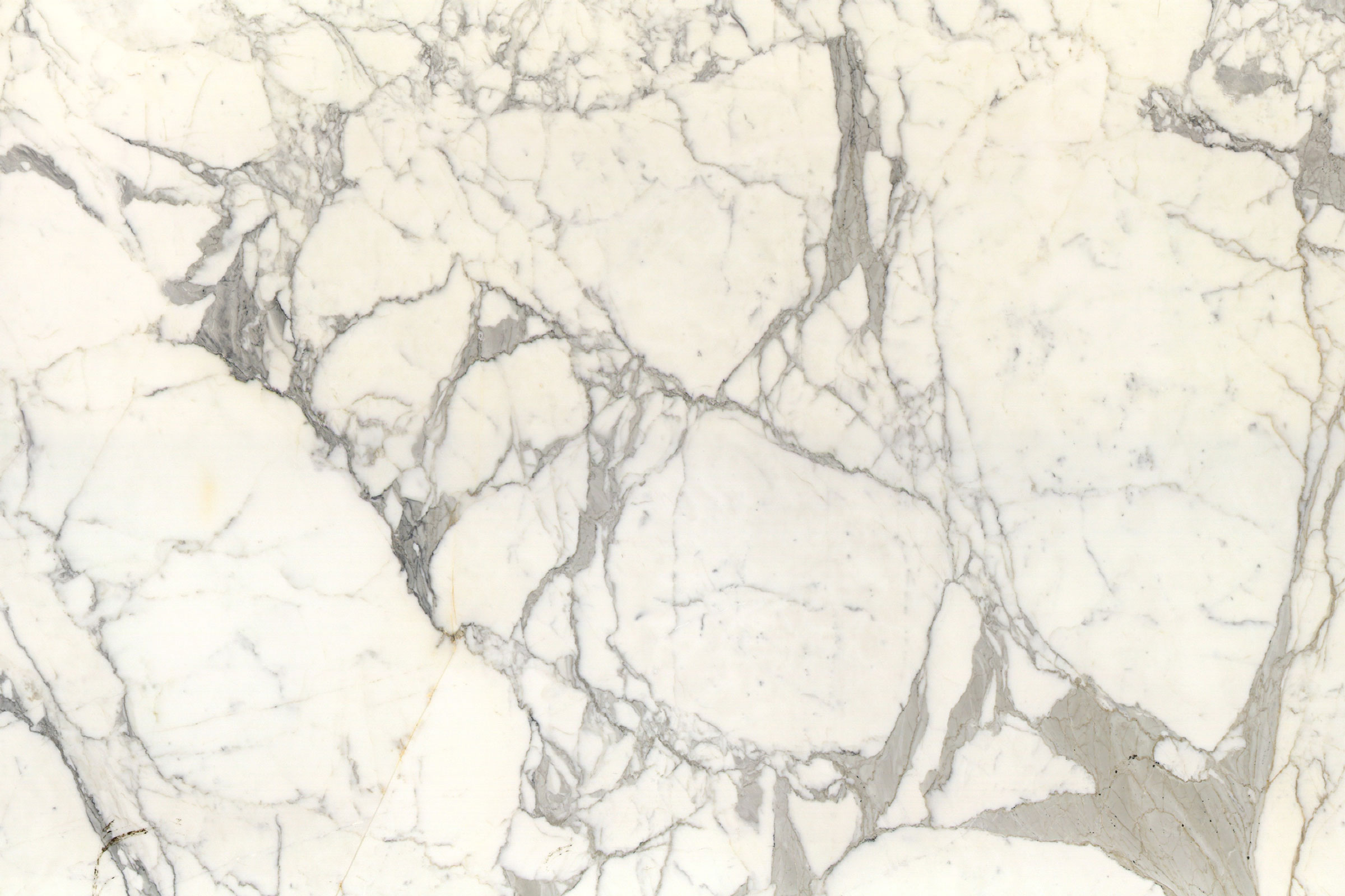 Calacatta Statuary – Honed 3CM – Lot 2256 - Image 2