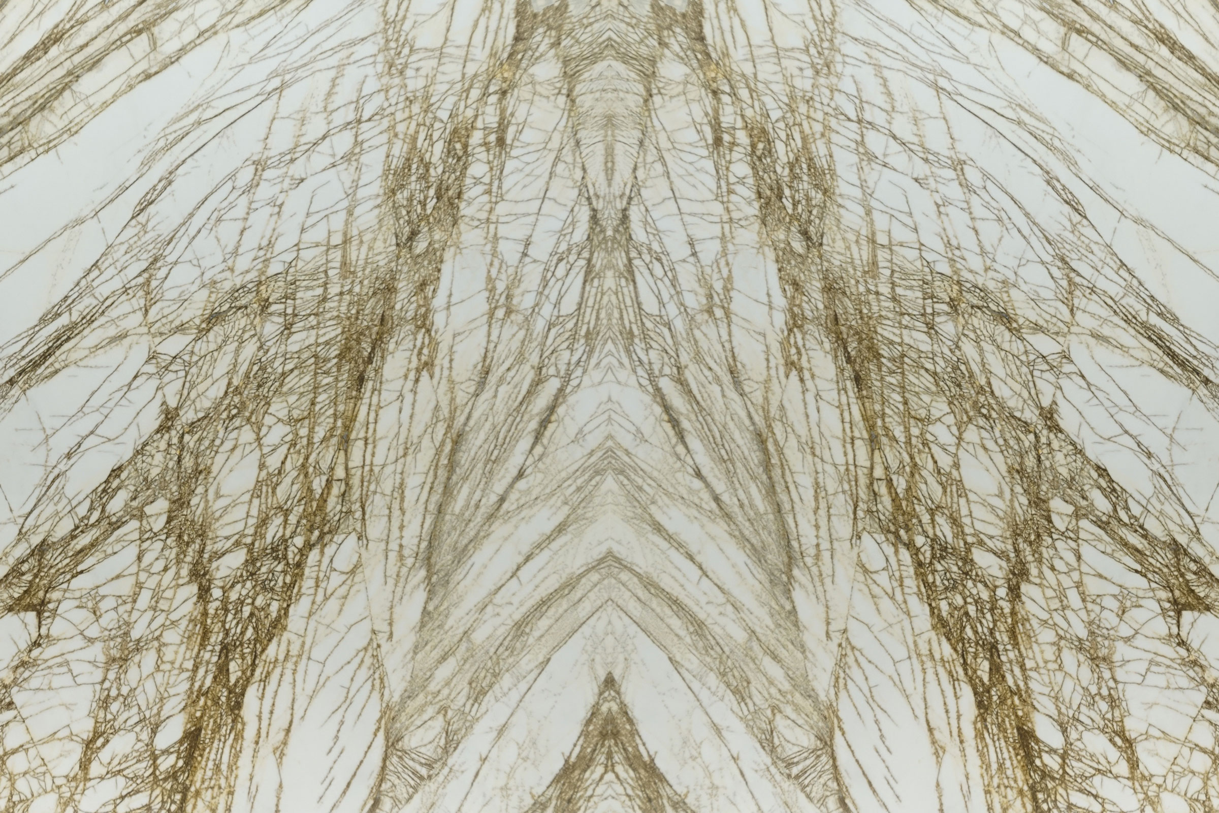 Golden Spider – Polished 2CM – Lot 1905 - Image 5