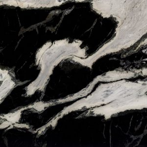 Orca – Polished 2CM – Lot 2357