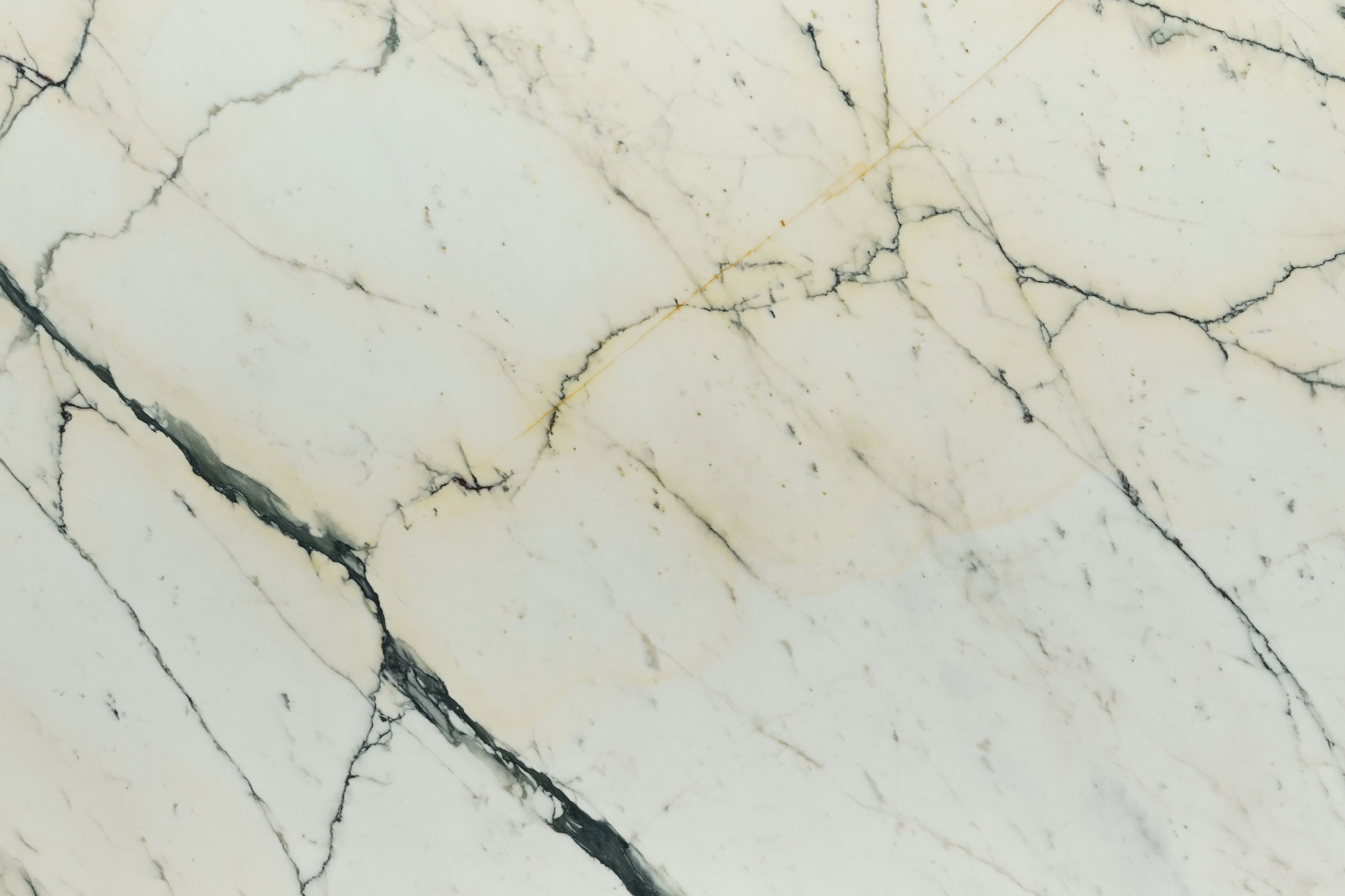 Paonazzo – Polished 2CM – Lot 1684 - Image 2