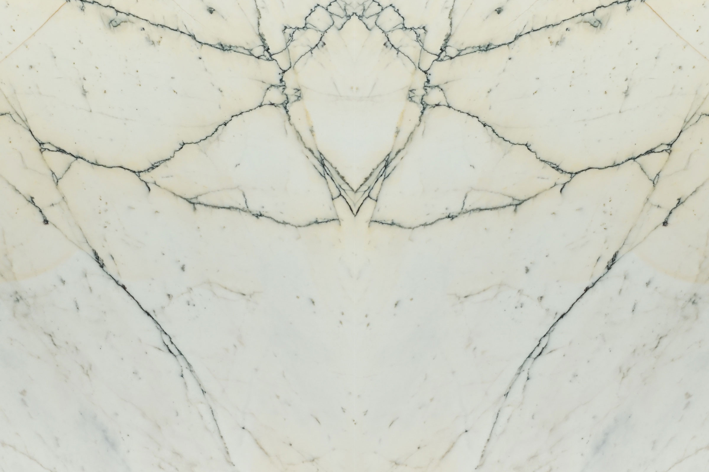 Paonazzo – Polished 2CM – Lot 1684 - Image 4