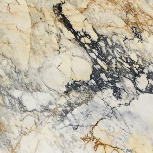 Paonazzo – Polished 2CM – Lot 1770