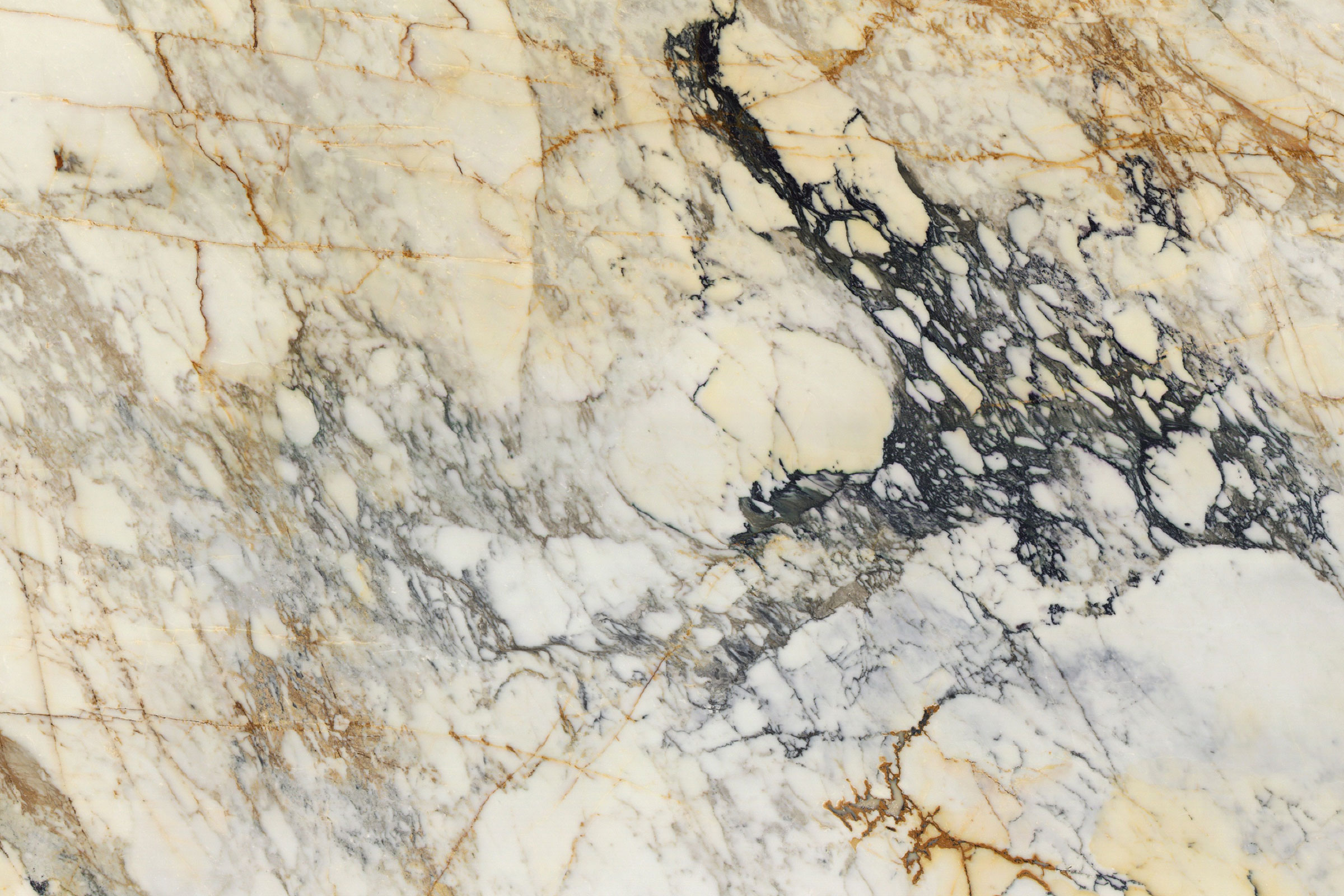Paonazzo – Polished 2CM – Lot 1770 - Image 2