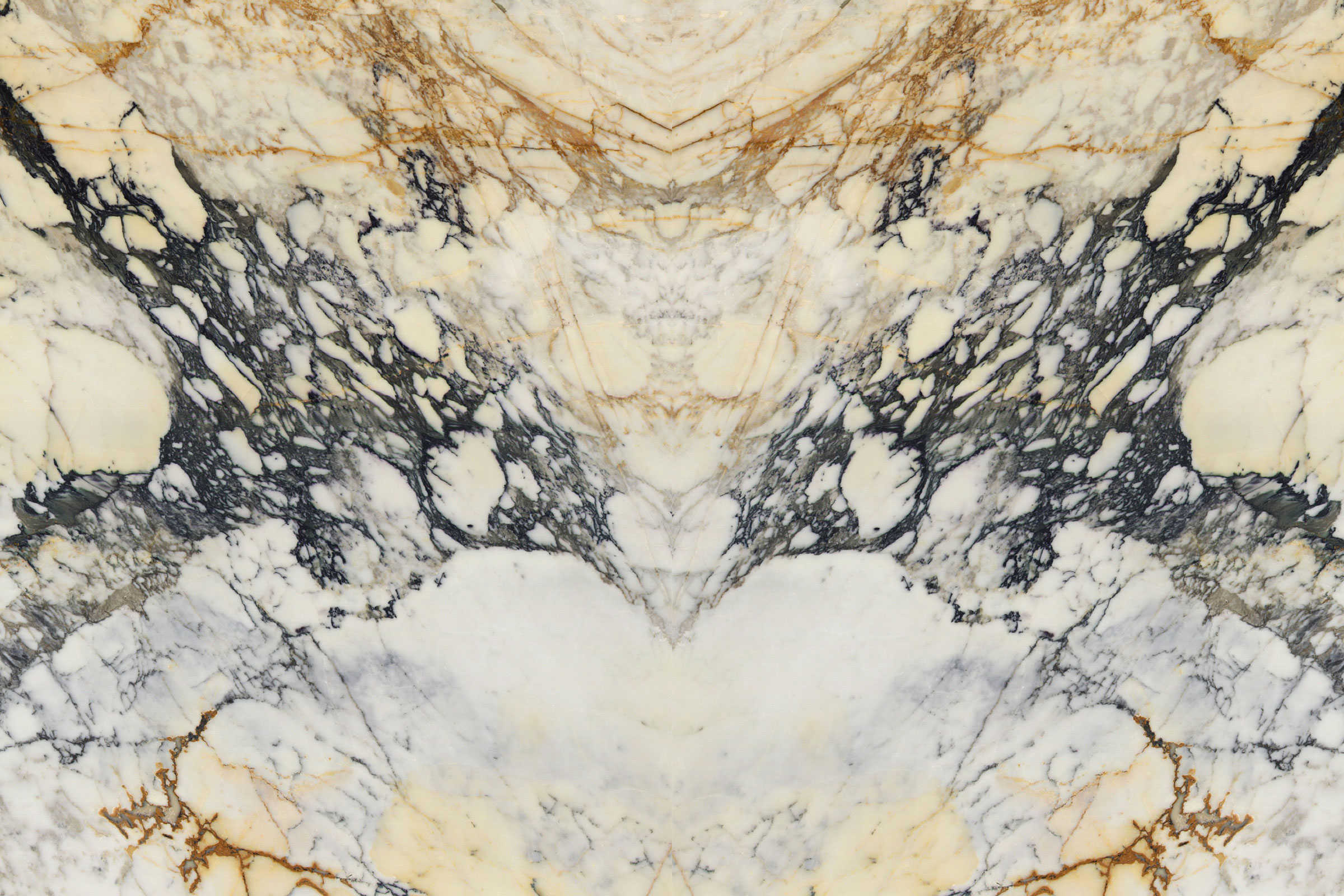 Paonazzo – Polished 2CM – Lot 1770 - Image 4