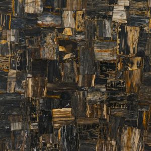 Petrified Wood – Polished 2CM – Lot 1719