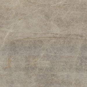 Taj Mahal – Leathered 3CM – Lot 2700