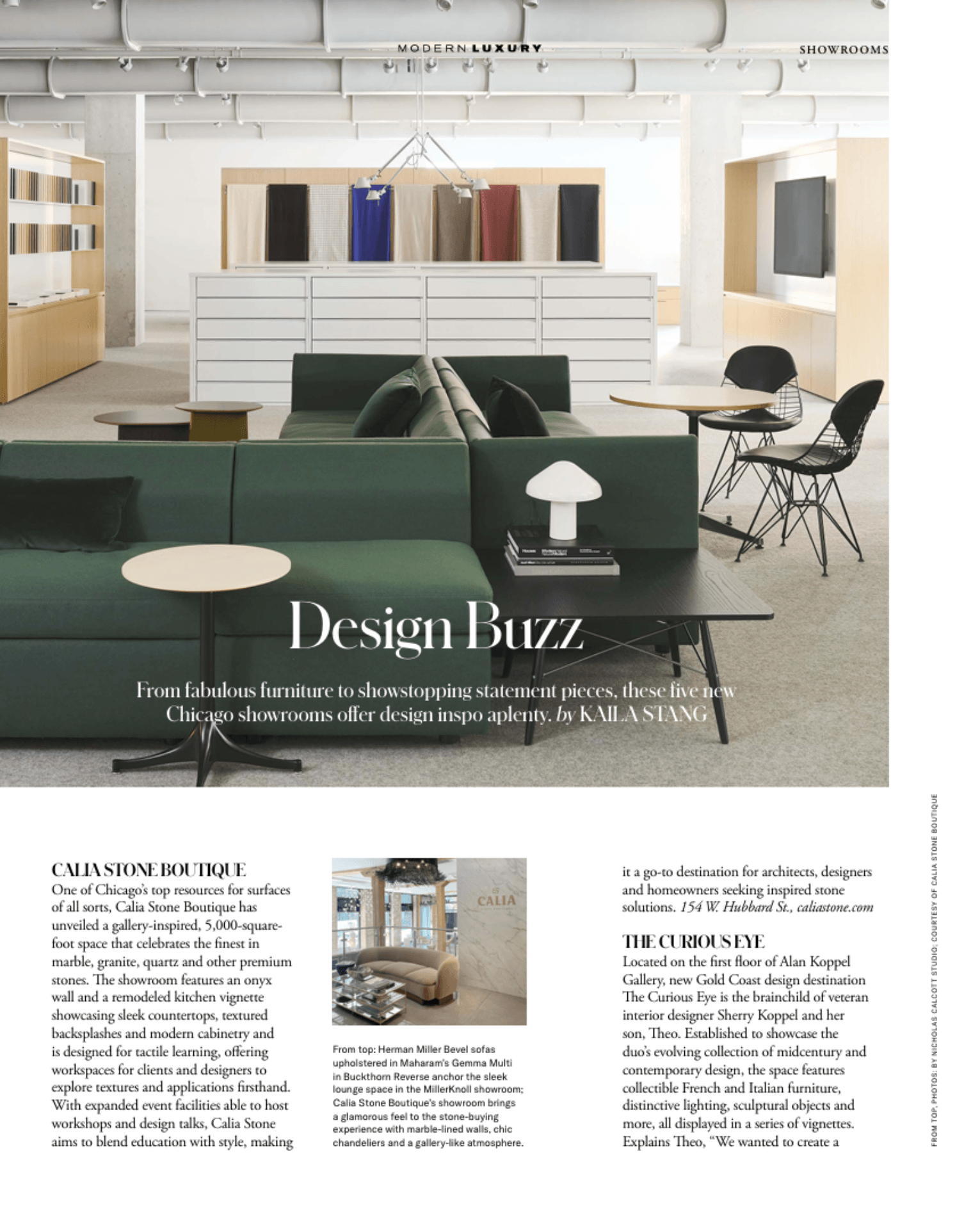 Design Buzz feature, Modern Luxury — image 1